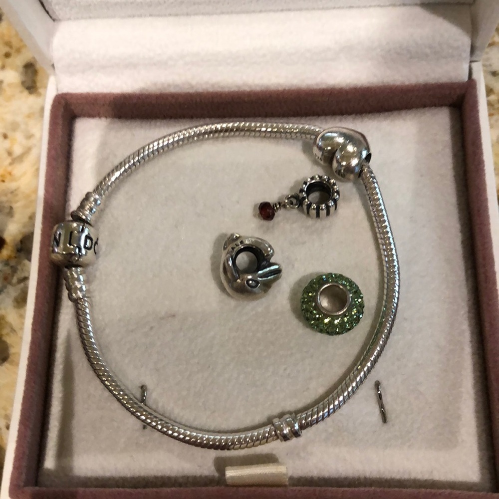 Pandora bracelet and charms